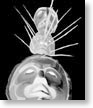 maske3_inv_small